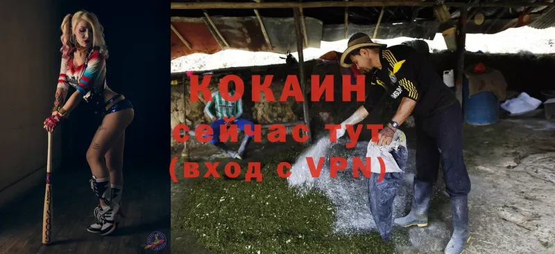 COCAIN VHQ Хасавюрт