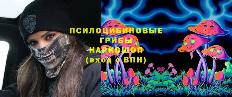 Псилоцибиновые грибы Psilocybine cubensis  МЕГА маркетплейс  Хасавюрт 